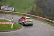 Rally Mille Miglia 2010 - Foto Roberto Scapparino