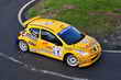 Rally Torino 2010 - Foto Diego Barbieri