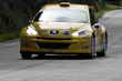 Rally Torino 2010 - Foto Diego Barbieri