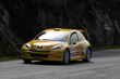 Rally Torino 2010 - Foto Diego Barbieri